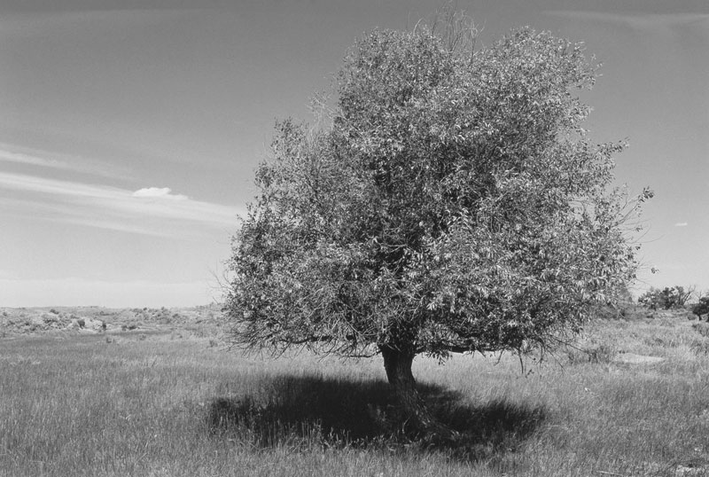 Crazy Woman Battlefield, Johnson County, Wyo., 1987