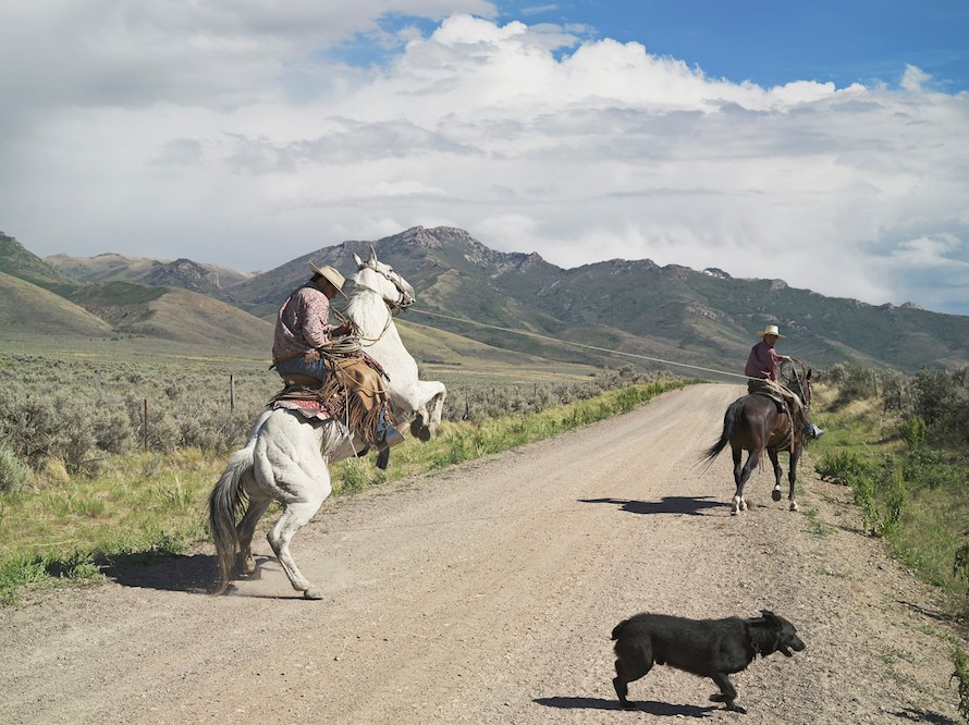 Casey and Rowdy Horse Training, 71 Ranch, Deeth, Nev. 2012