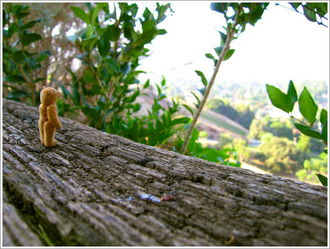 All photos © <a href=