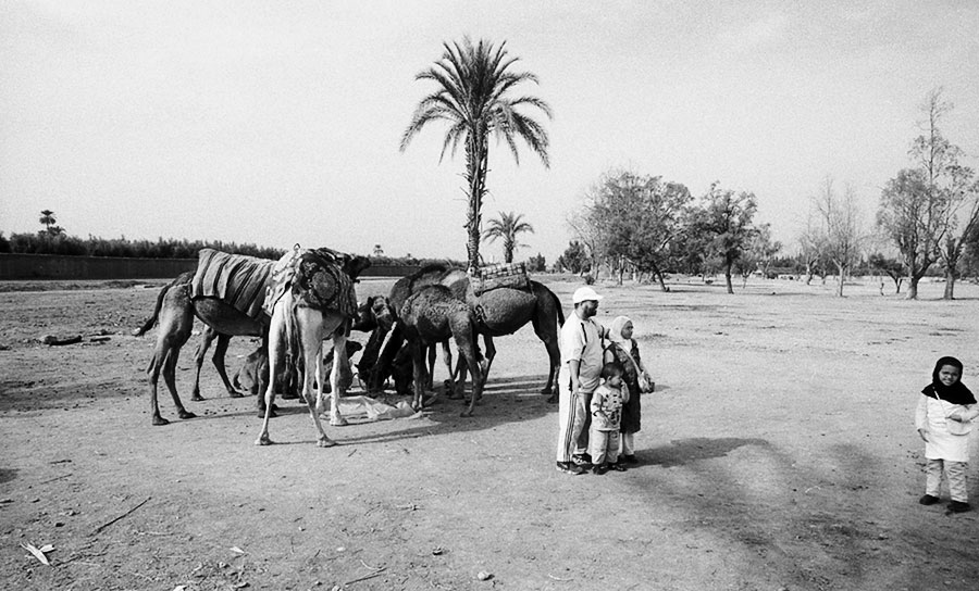 Picture with camels, Marrakech, Morocco 2006