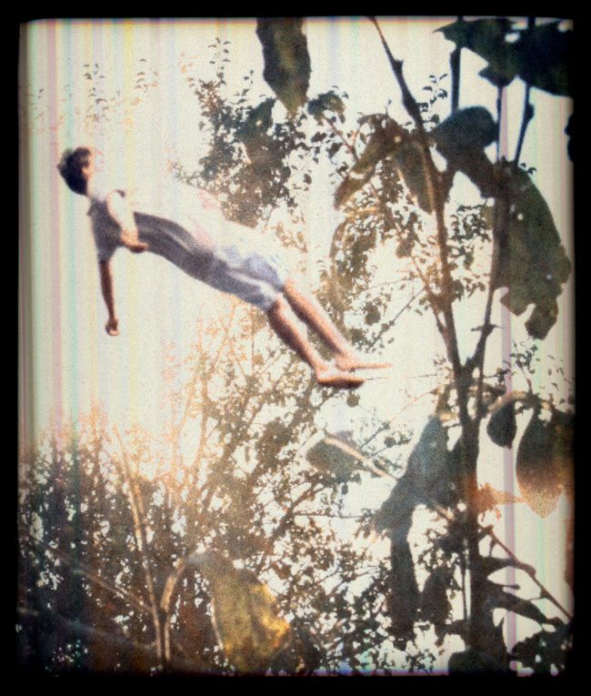Falling in Trees 12, 2006
40 x 34 inch pigment inkjet print
Courtesy Robert Mann Gallery, New York