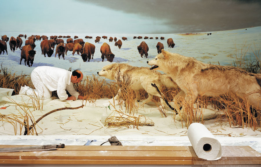 From Richard Barnes's <i><a href=