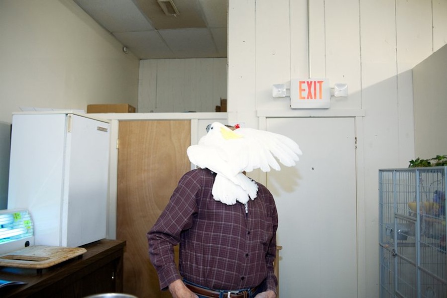 Cockatoo and Owner, Warwick, RI