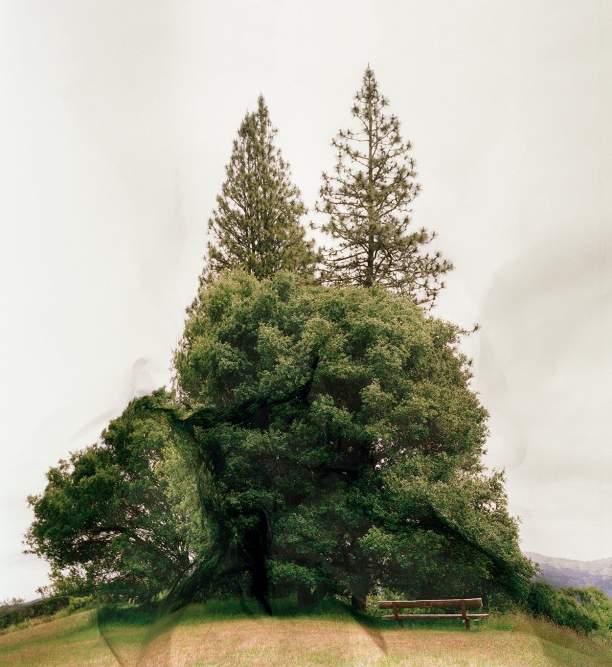 Response to print of <i>Inspiration Point, California</i>, 2011.