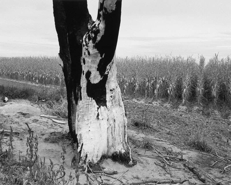 Council Grounds at the Great Treaty of Horse Creek, Scott's Bluff County, Neb., 1987