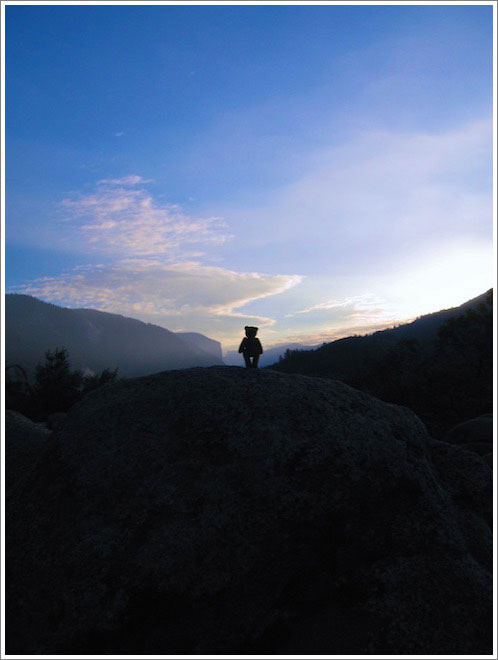 All photos © <a href=