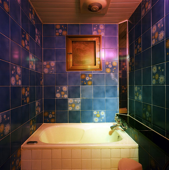 Floral Bathroom, Hotel Loire, Osaka 2004