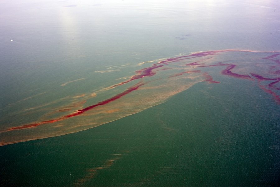Untitled
June 2010
Gulf of Mexico
Oil from the BP Deepwater Horizon spill floats and mixes on the water