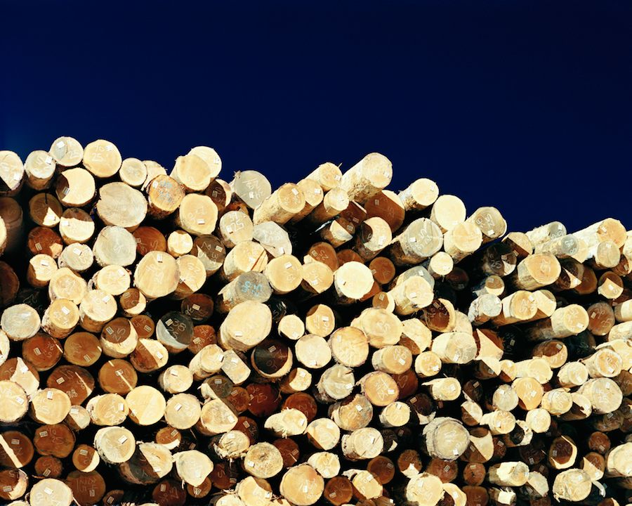 Stacked logs in Weyerhaeuser sort yard
Cosmopolis, Wash.
2007