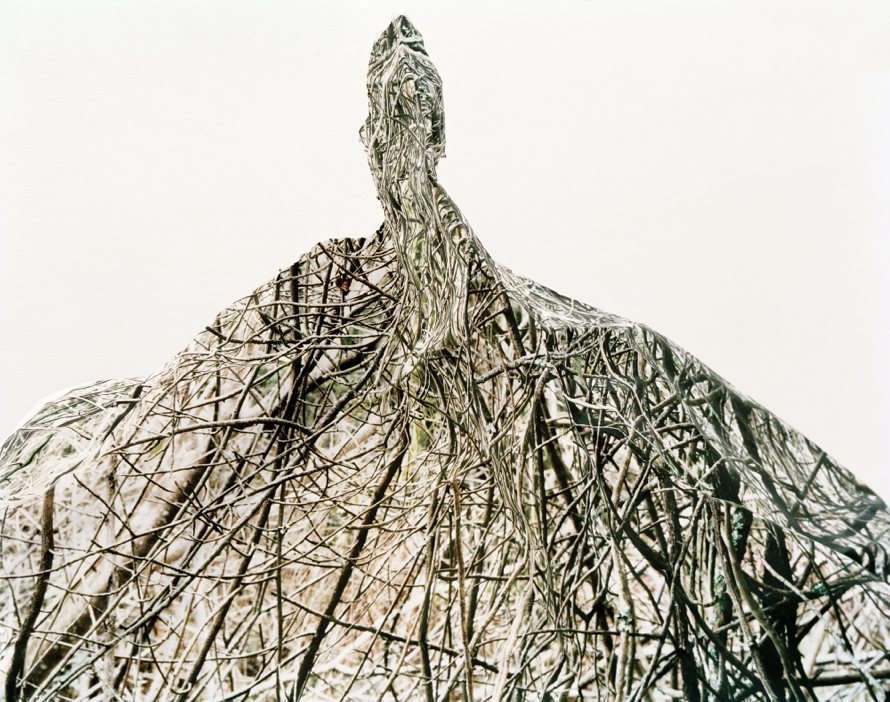 Response #1 to print of <i>Thicket</i>, 2006.
