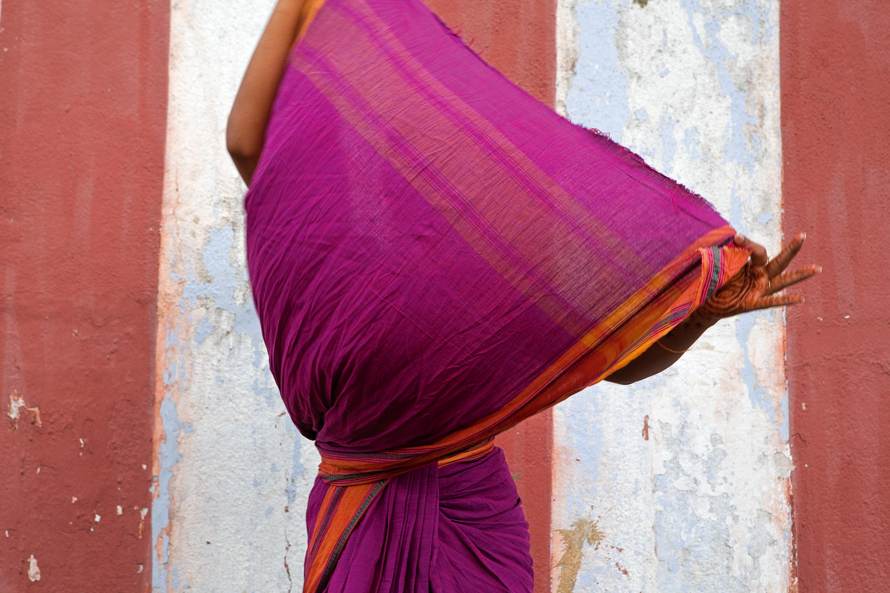 Contemporary dancer. Kalakshetra Cotton Kanchipur, 2011.