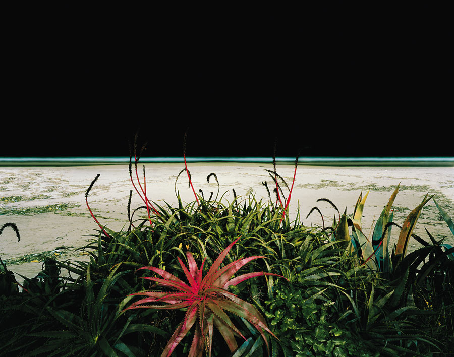 Excerpted from <a href=