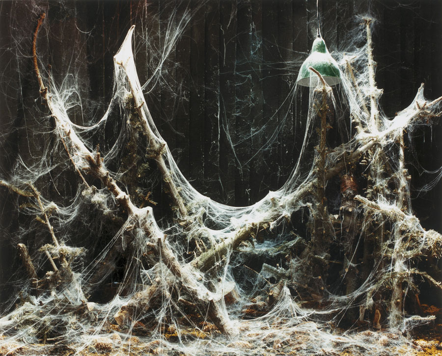 Cobwebs, 2003. Diasec mounted c-type print. 120 x 150 cm. Edition of five.