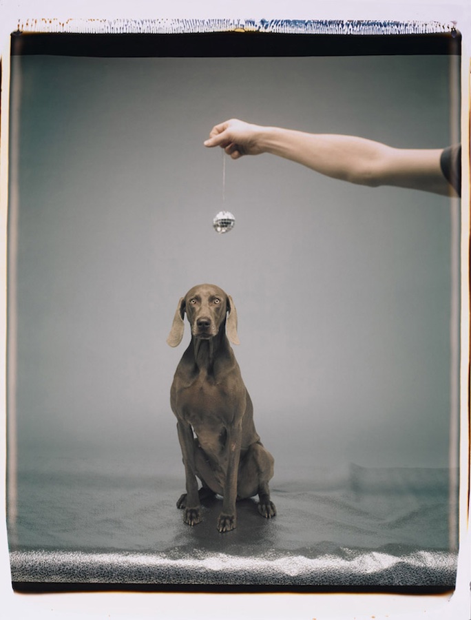 Hypo
Color Polaroid, 24