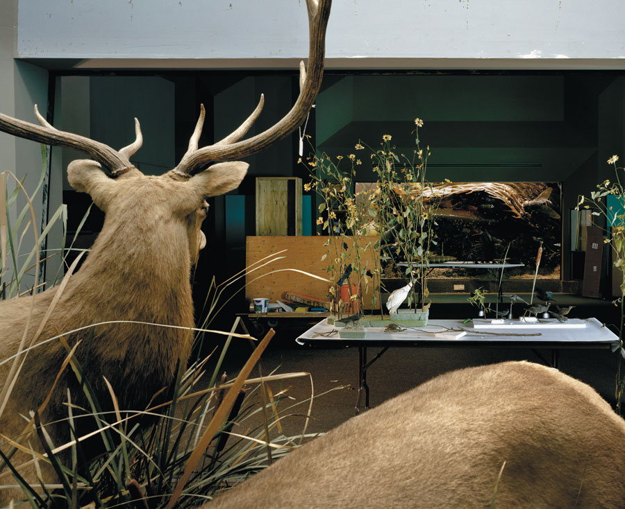 From Richard Barnes's <i><a href=