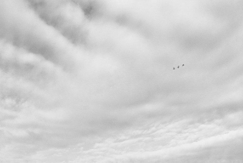 Site of the Last Village of the Palouse People at Palus, Columbia/Whitman Counties, Wash., 1989
