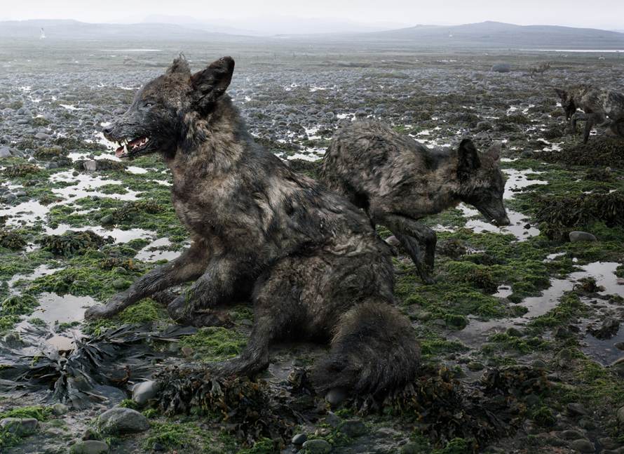 Simen Johan
Untitled #156, 2009
From the series Until the Kingdom Comes
Digital C-print
© Simen Johan, Courtesy Yossi Milo Gallery, New York