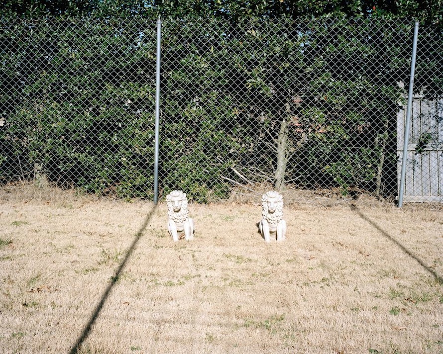Suzy the Lion's Grave, Rockwell, NC