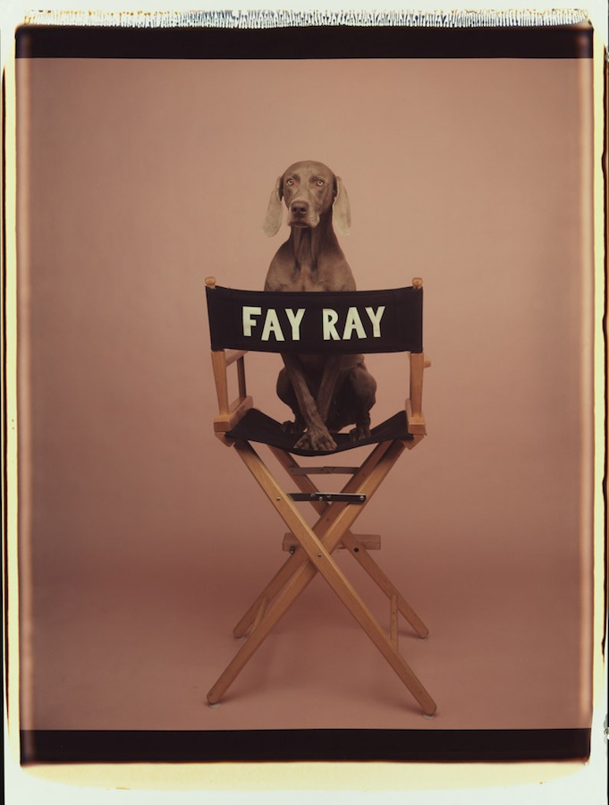 Fay Ray
Color Polaroid, 24