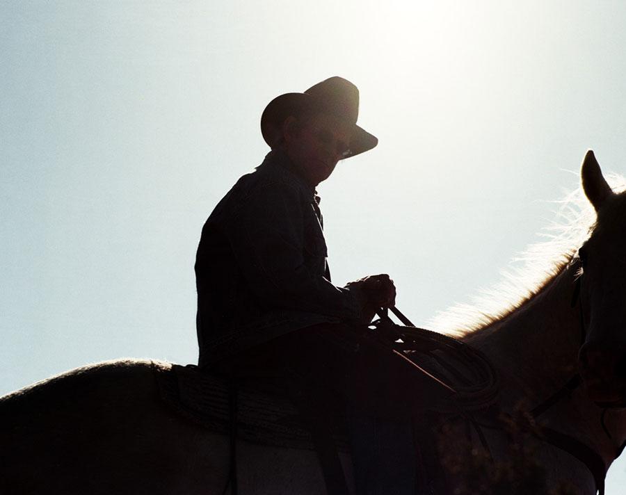 Horse & Rider, 2008, 16