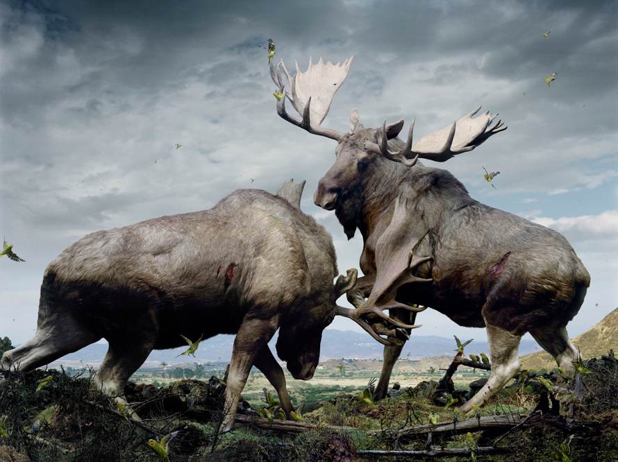 Simen Johan
Untitled #133, 2005
From the series Until the Kingdom Comes
Digital C-print
© Simen Johan, Courtesy Yossi Milo Gallery, New York