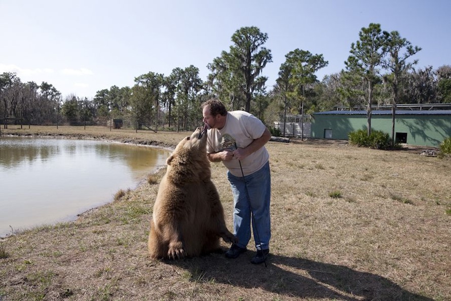 Bear Kiss, Myaka City, FL