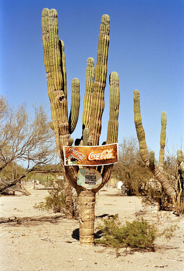 Untitled from the series Mexico, 2002-04