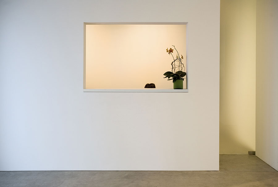 Andrea Rosen, 525 West 24th Street