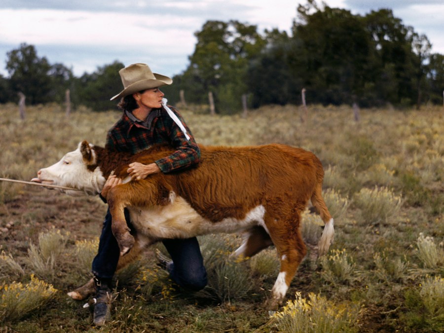 Ruth Leonard secures a calf in her pasture, 2010
10 1/2 x 14