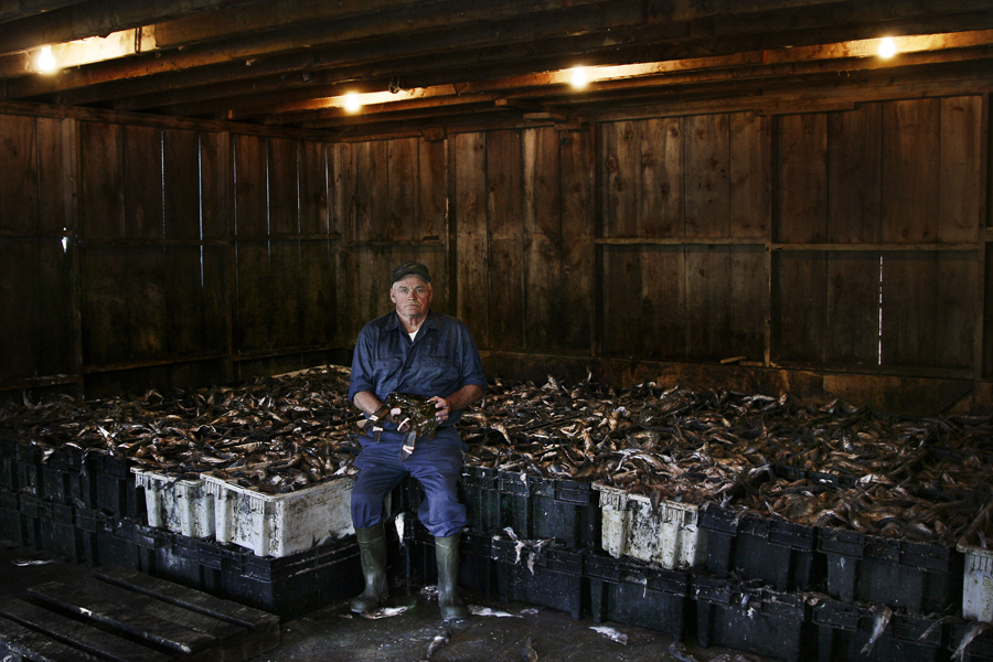 OWEN BEAL, lobsters, Millbridge, Maine<br /><br />
“In the off-season I preach every Sunday at the Church of Christ, from December to the first of May. I’ve been a preacher there for about 20 years. They needed someone to preach, so I started preaching. It’s hard for me to say whether I’m any good or not. But I have been told I have a loud voice. We have a small congregation of about 50, and everybody knows each other so it’s more like preaching to friends. My wife, my daughters, and the 10 grandchildren always come to hear my Sunday sermon.<br /><br />
My wife could eat lobster every day of the week. Myself, I’d rather have crabmeat, but I can still enjoy a lobster. I suppose boiling and dipping it in butter is one way, and there’s things a lot worse than a fresh Maine lobster roll, but I like it fried best of all. You boil the lobster and let it cool off and then fry ‘em in butter and eat ‘em that way. It’s real good. As a matter of fact, that’s what I had for my supper tonight.”