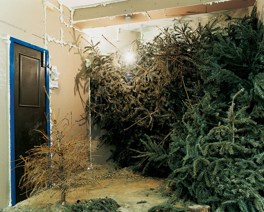 Lumber, 2003. Diasec mounted c-type print. 120 x 150 cm. Edition of five.