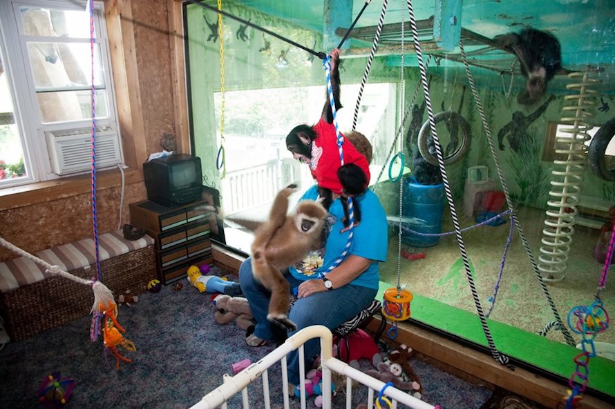 Baby Room, Festus, MO