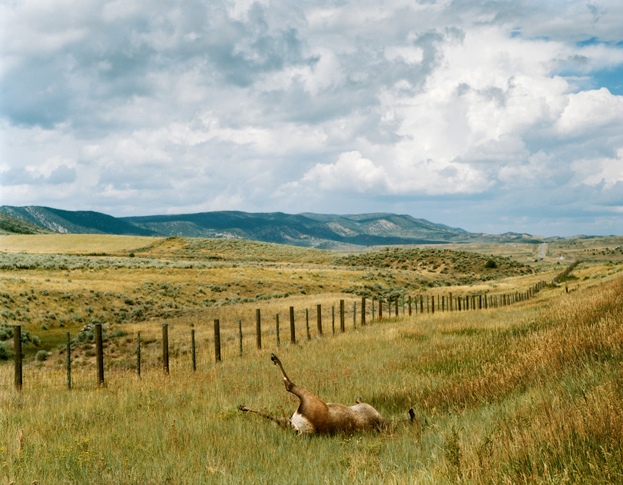Near Rio Blanco, Colorado