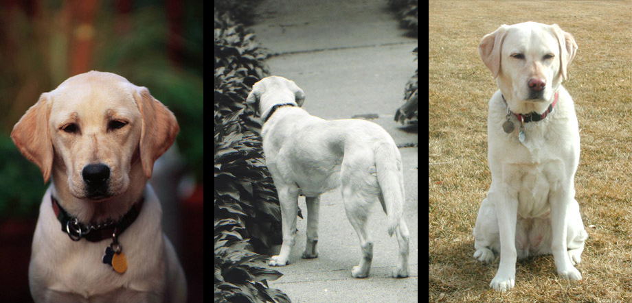 August 1997; March 2001; August 2004