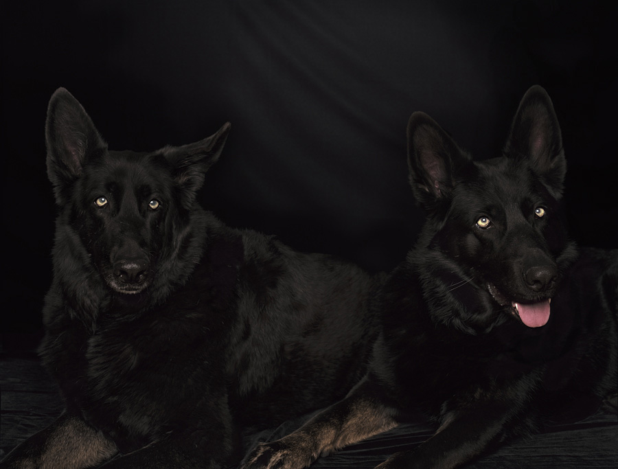 8th of April
2006
Copyright © Michele Abeles