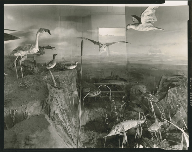 All images courtesy PEER Gallery, all images copyright © respectively Wyatt Gallery and Radek Skrivanek, all rights reserved.