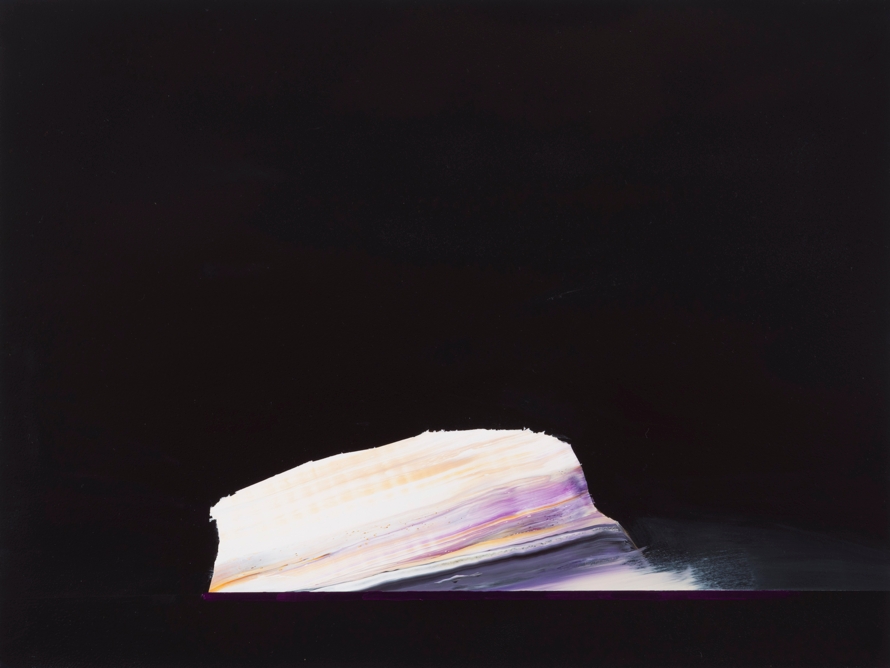 Whitney Bedford, <em>Iceberg (Black Diver)</em>, 2014. Ink and oil on panel, 18 x 22 inches. Photo: Evan Bedford. Courtesy the artist and Carrie Secrist Gallery, Chicago.