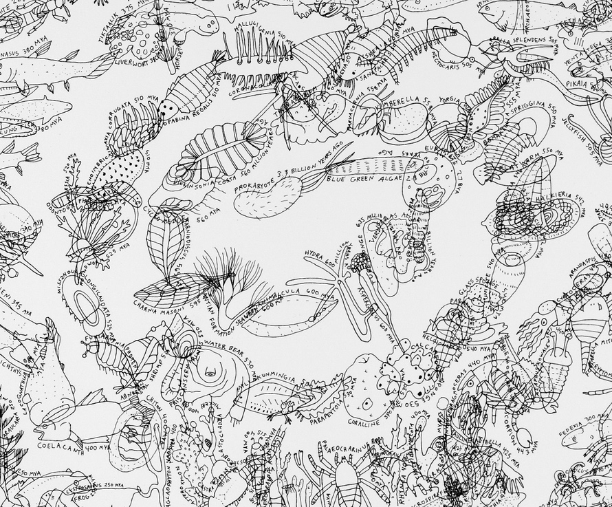 Detail, Life on Earth, 2013