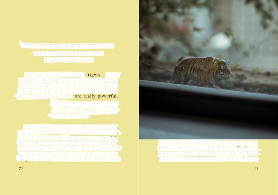 From <i>Party: Quotations From Chairman Mao TseTung</i>, Cristina de Middel, all rights reserved.