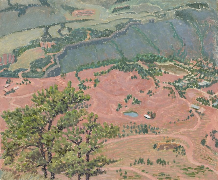 Close Up Pine, In Front of Lyons, Colo., 2012. Oil on linen, 20 x 24 in.