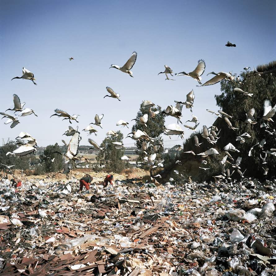 Commercial Rubbish Dump, City Deep, Johannesburg, 2010