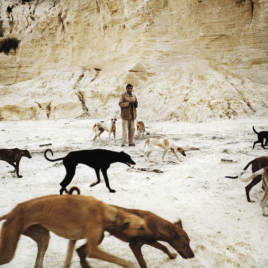 Daniel and the Hunting Dogs, Selby, Johannesburg, 2012