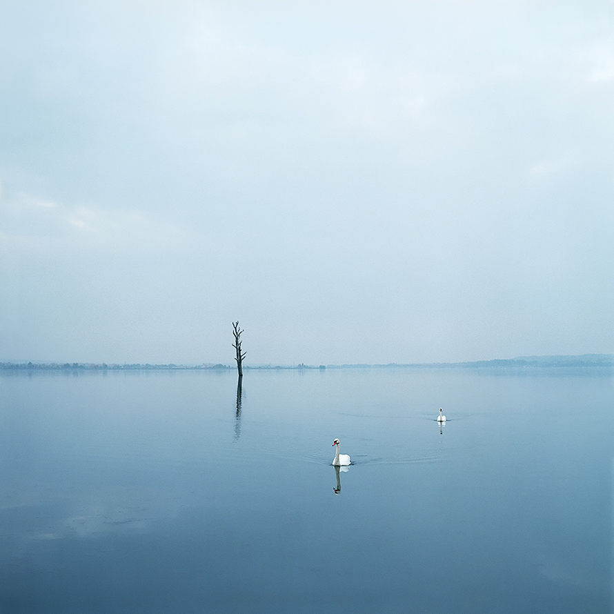 © Evžen Sobek, <em>Untitled (Swans)</em>, 2008. Courtesy of ClampArt, New York City.