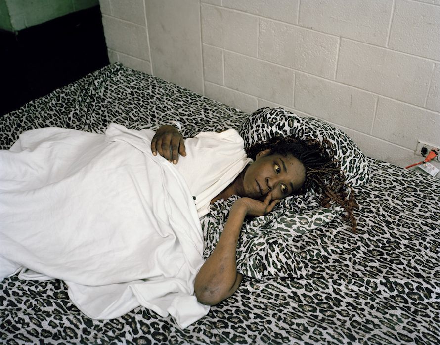 Copyright © Paul D'Amato, all rights reserved.