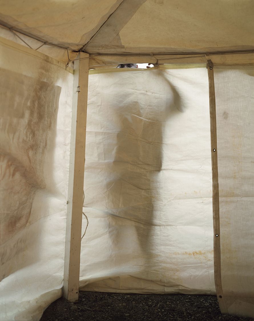 Copyright © Paul D'Amato, all rights reserved.