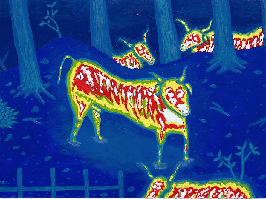 Infrared Bulls, 2014, acrylic on panel, 9” x 12”