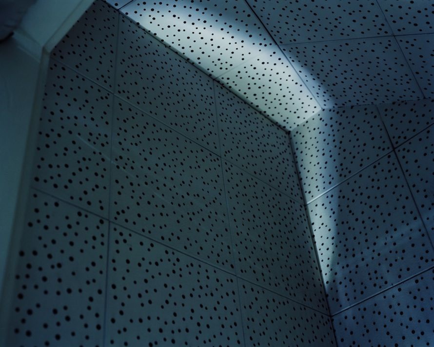 Saint Elizabeth, 2009