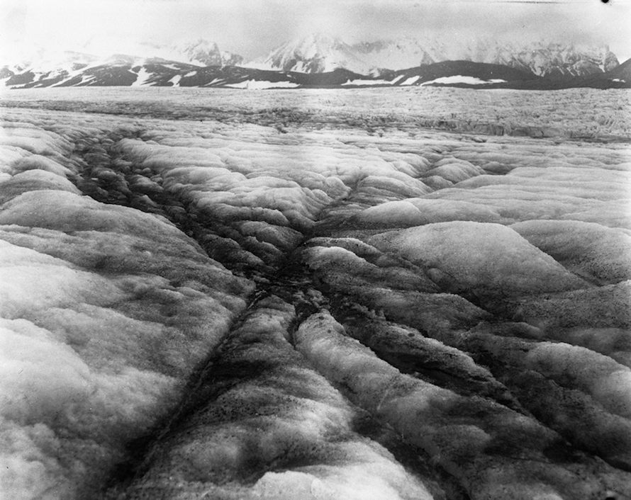 Copyright © Anka Sielska