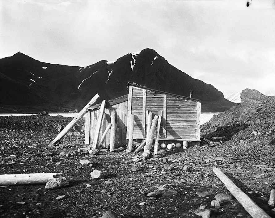 Copyright © Anka Sielska