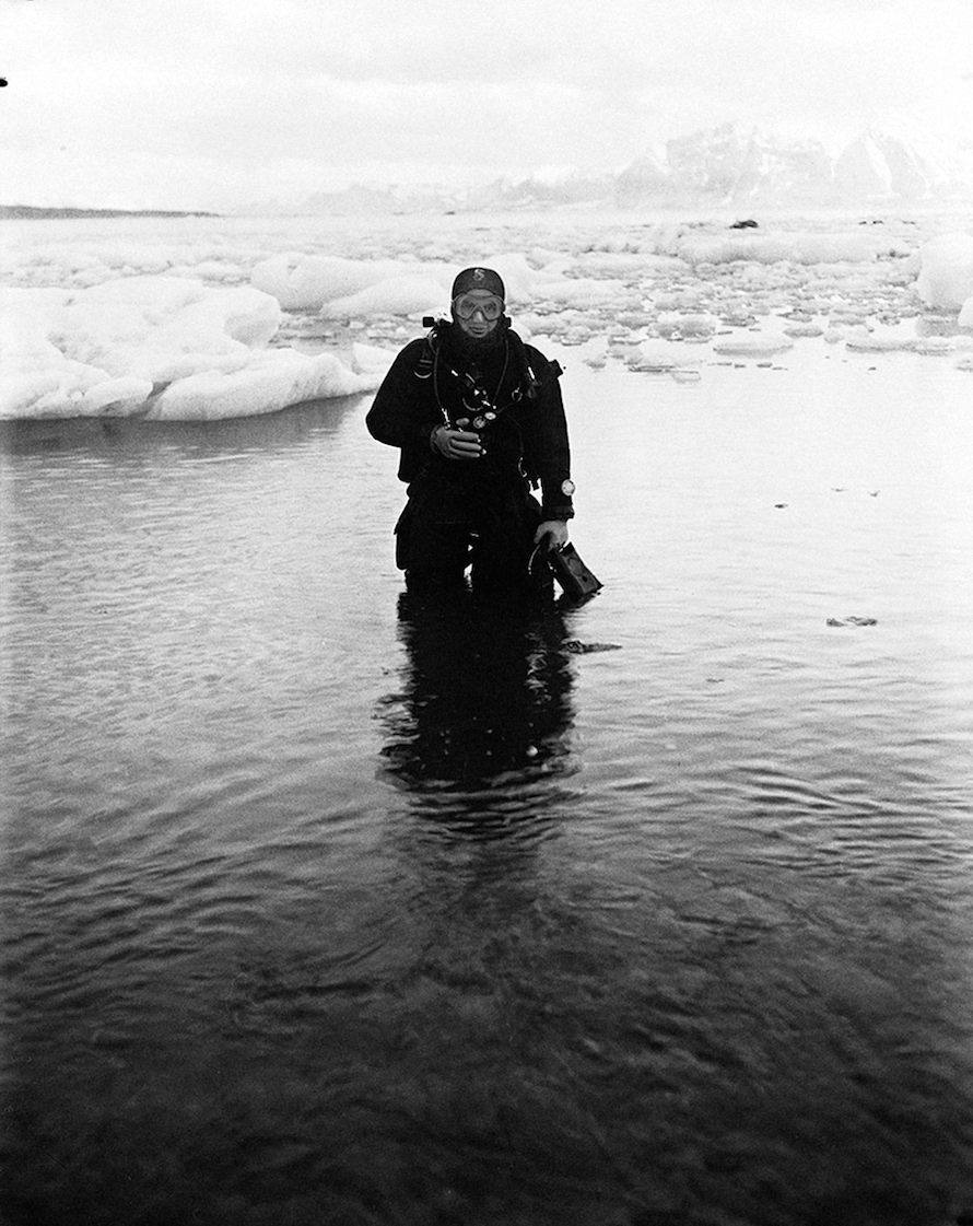 Copyright © Anka Sielska